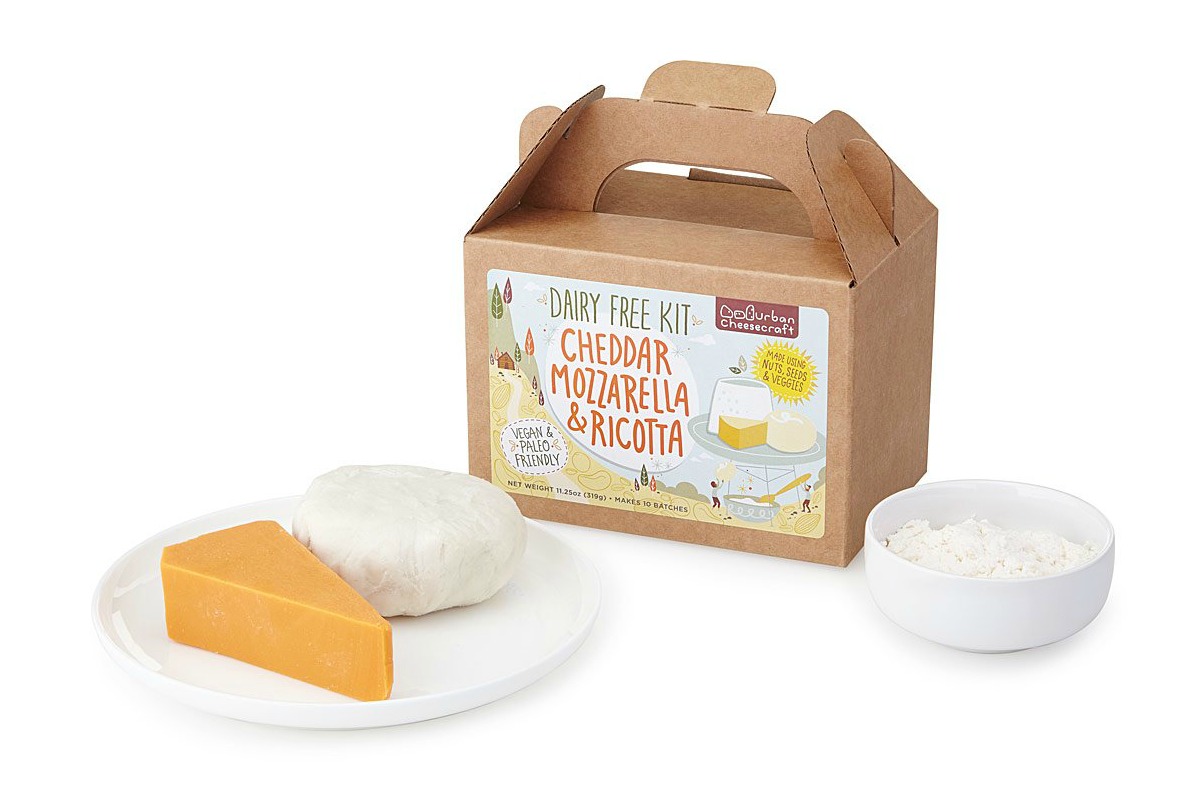 Gift Lab Will Our Dairy Free Cheesemaking Kit Impress this Curd Connoisseur? The Goods