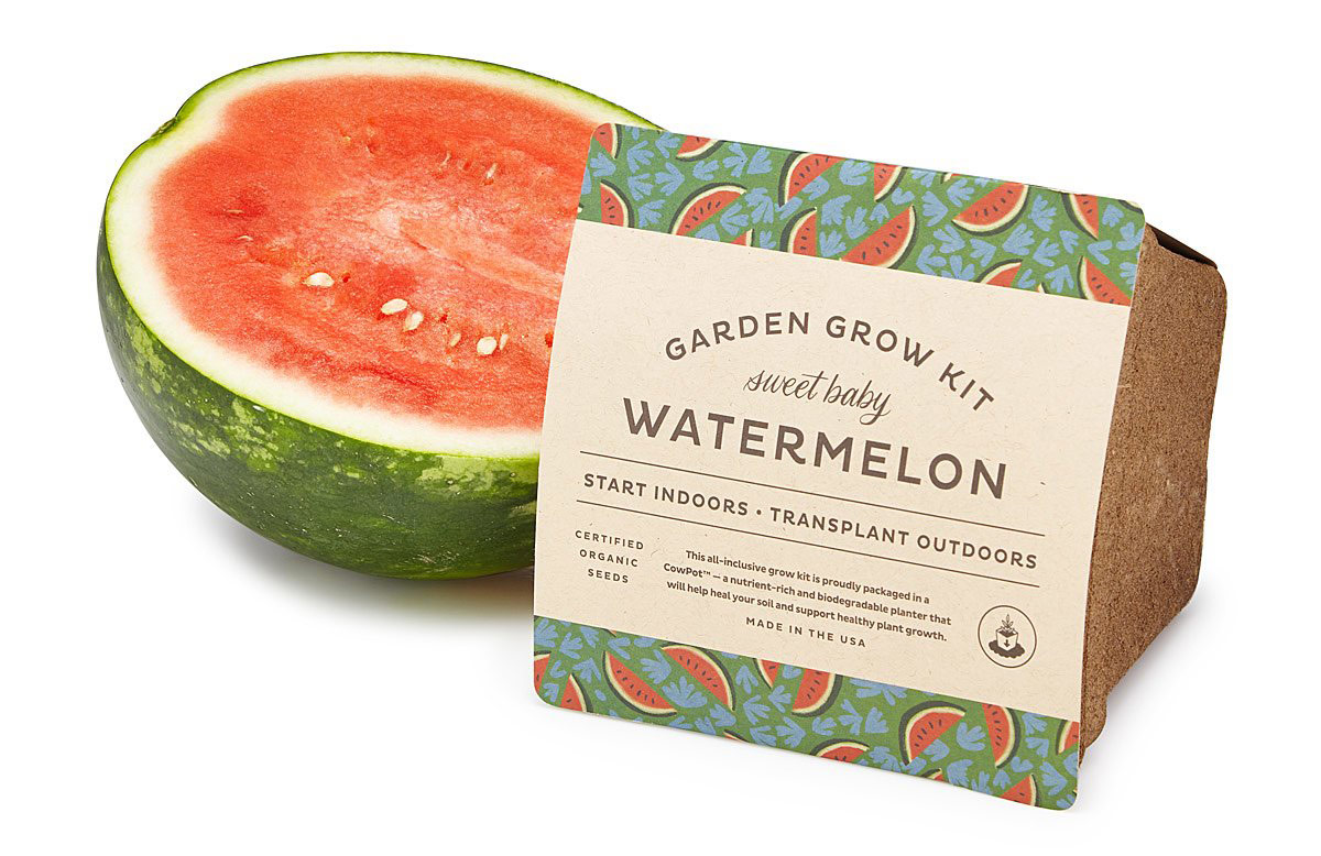 watermelon baby grow