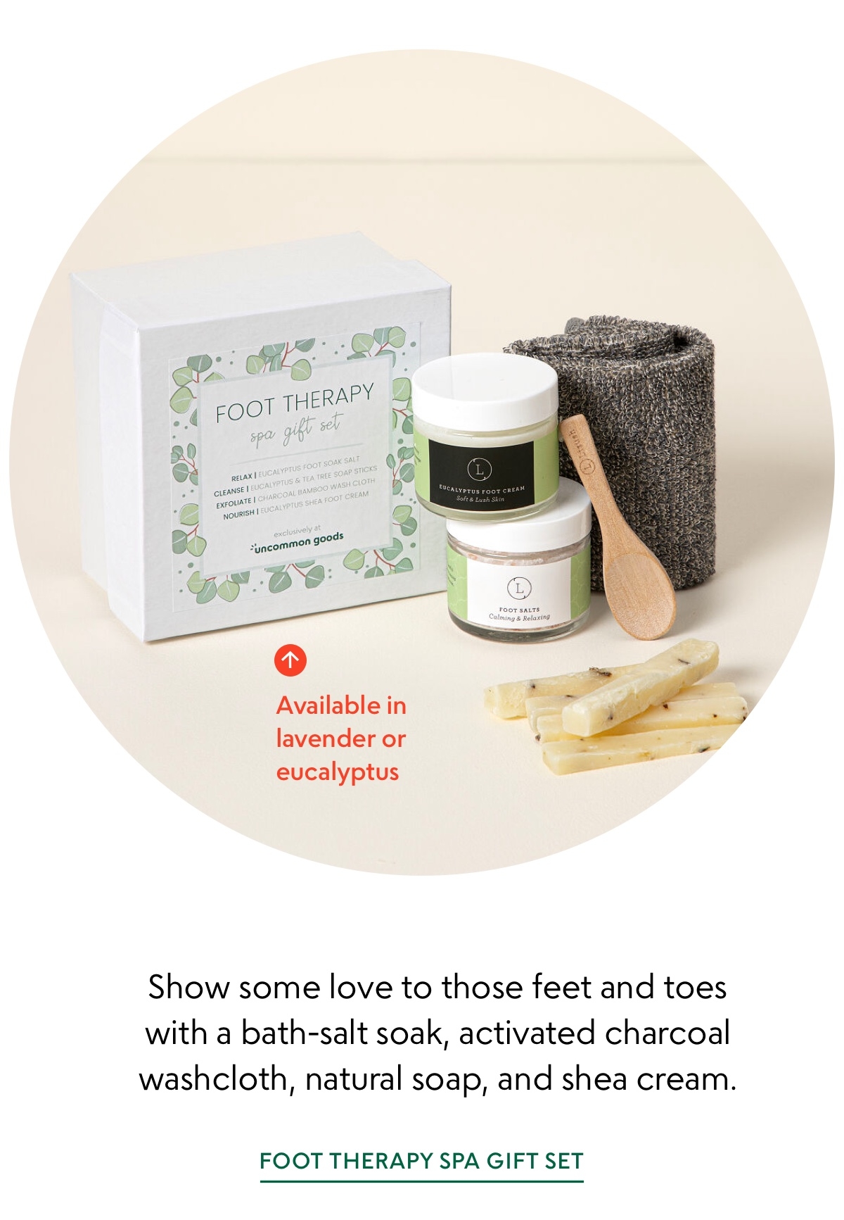 Foot Therapy Spa Gift Set