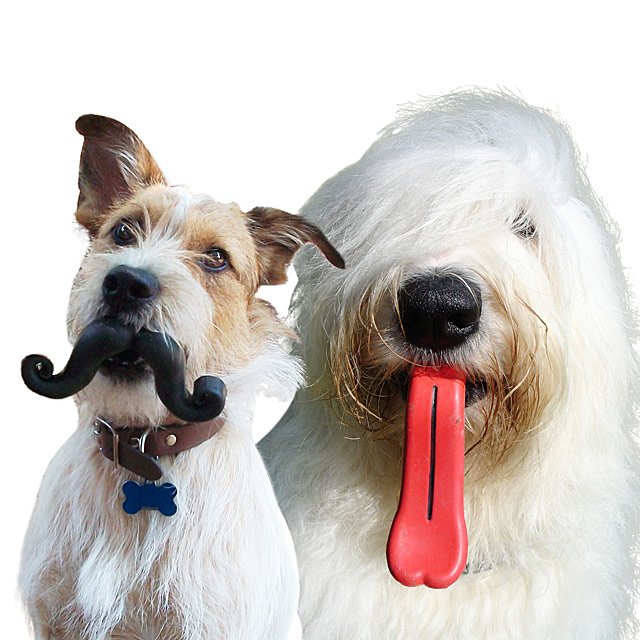 Silly Dog Toys Mustache & Giant Tongue Mustache Dog Toy, Tongue Dog