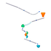 wall coaster marble run