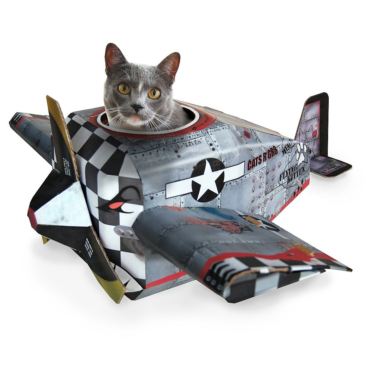 Airplane Cat House Pets, kitten, play,