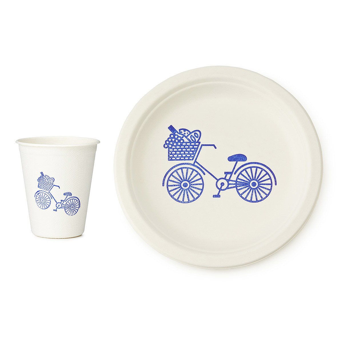 outdoor plates and cups set