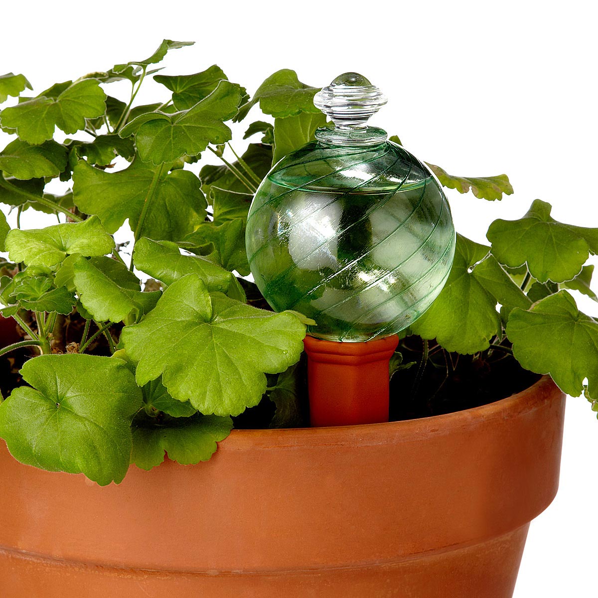 Watering Globe and Plant Nanny Stake selfwatering planter