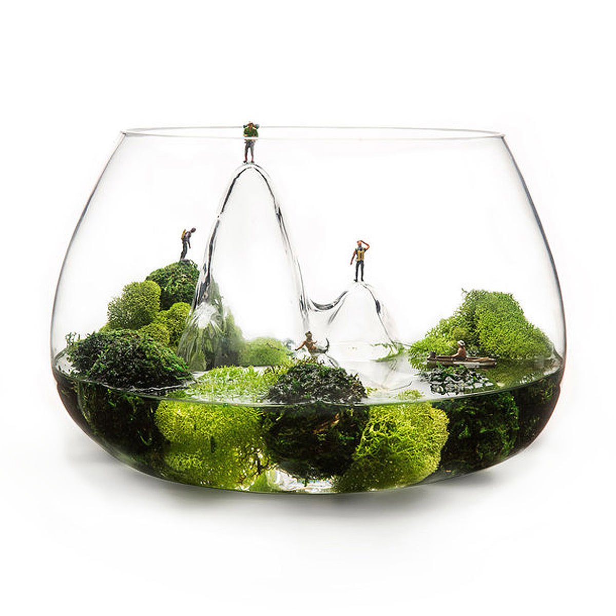 Glasscape Bowl fish bowl, hand blown glass, terrarium bowl
