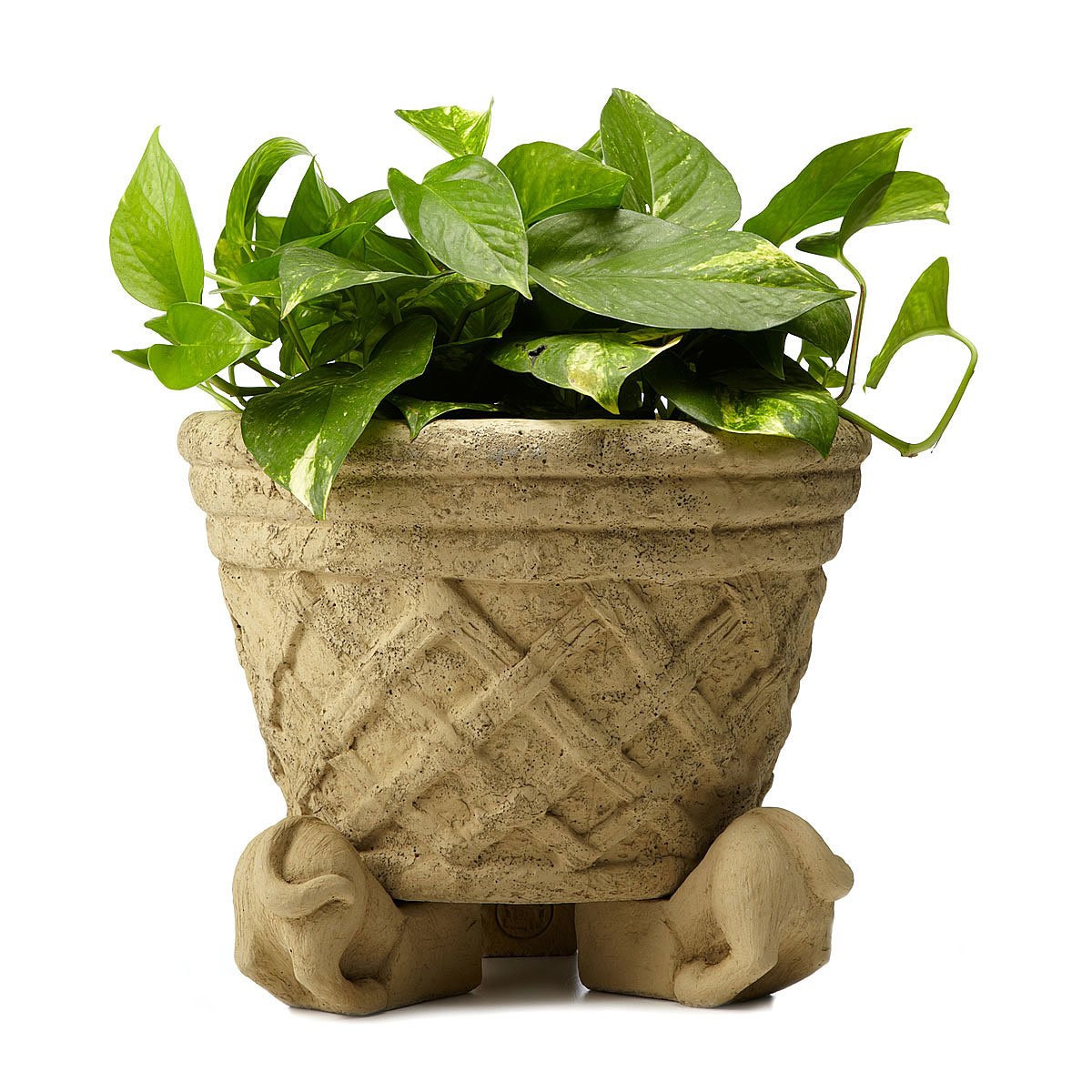 Dog Rear Pot Feet Set of 3 Planter Feet, Garden Décor