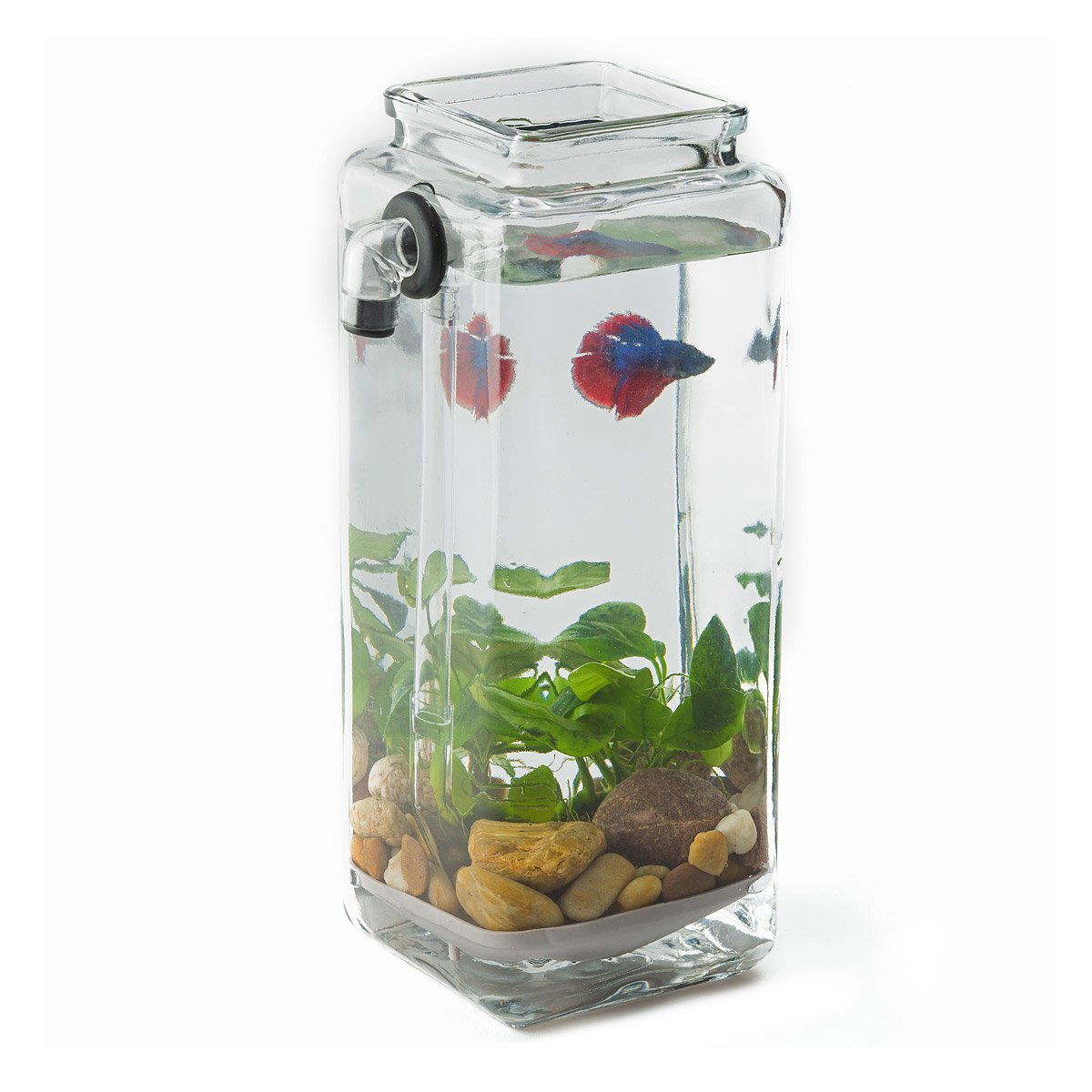 No Clean Aquarium acrylic fish tank, freshwater, no filter