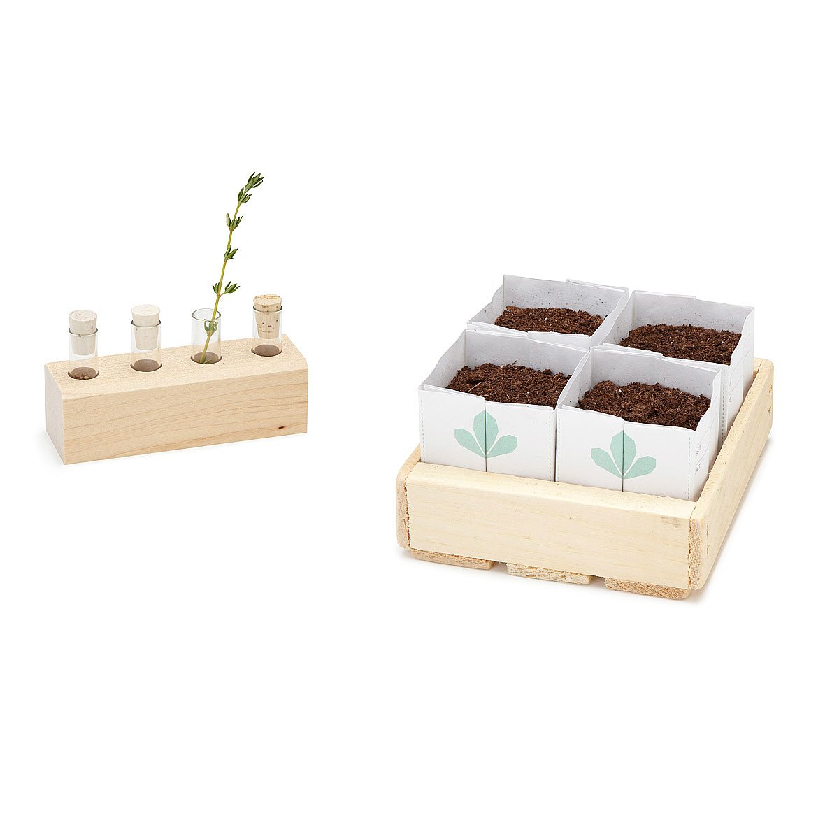 Herb Heirloom Seed Kit seed starter