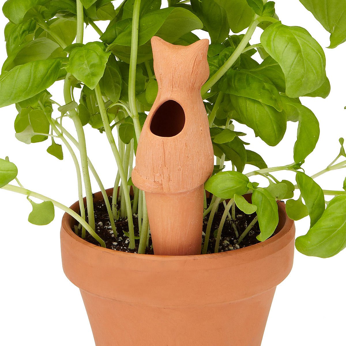 Weekend Plant Feeders garden tool, watering
