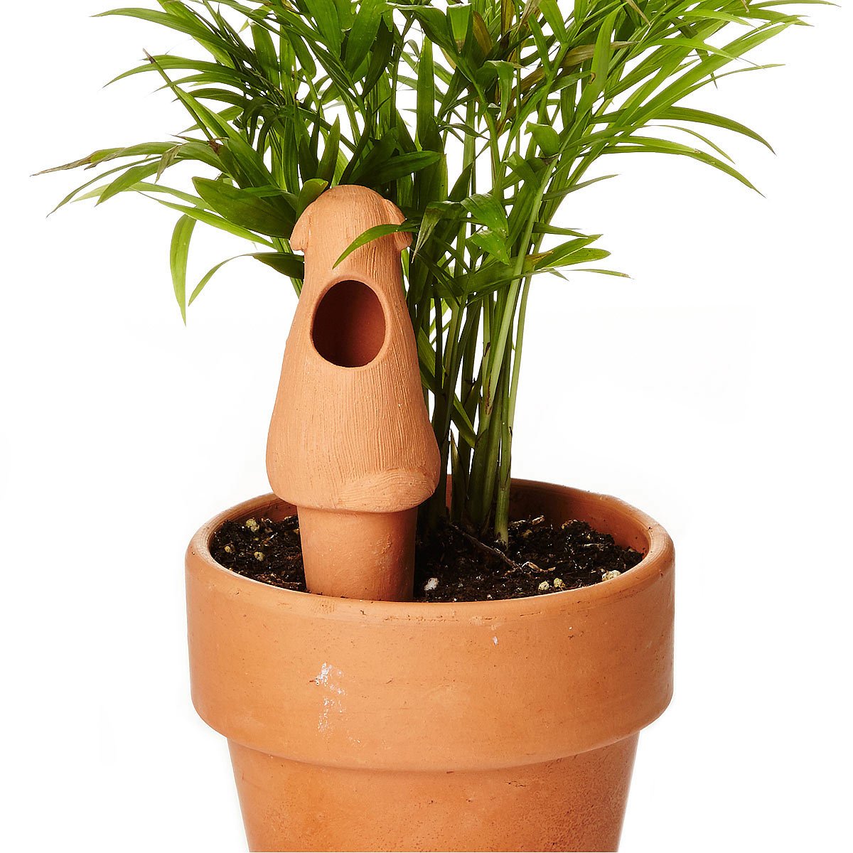 Weekend Plant Feeders garden tool, watering