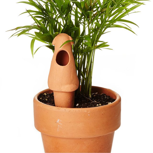 Weekend Plant Feeders garden tool, watering