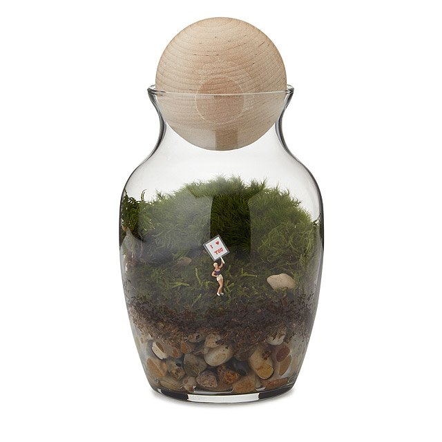 Moss Terrarium Bottle Glass Terrarium Gift