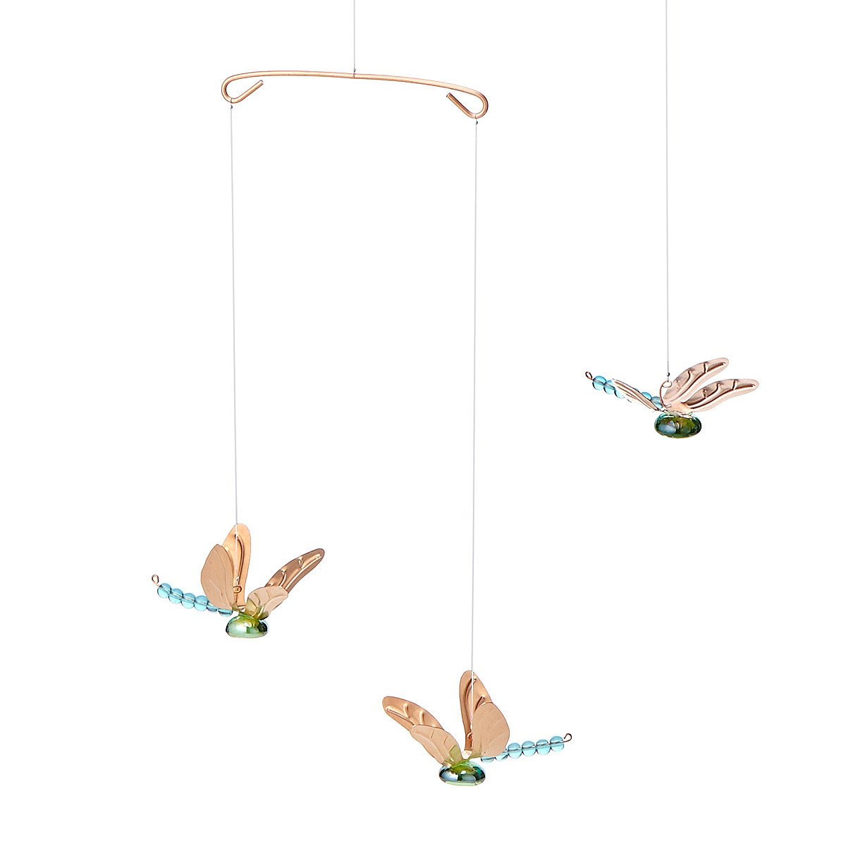 Butterfly Puddler Attract Butterflies, Garden