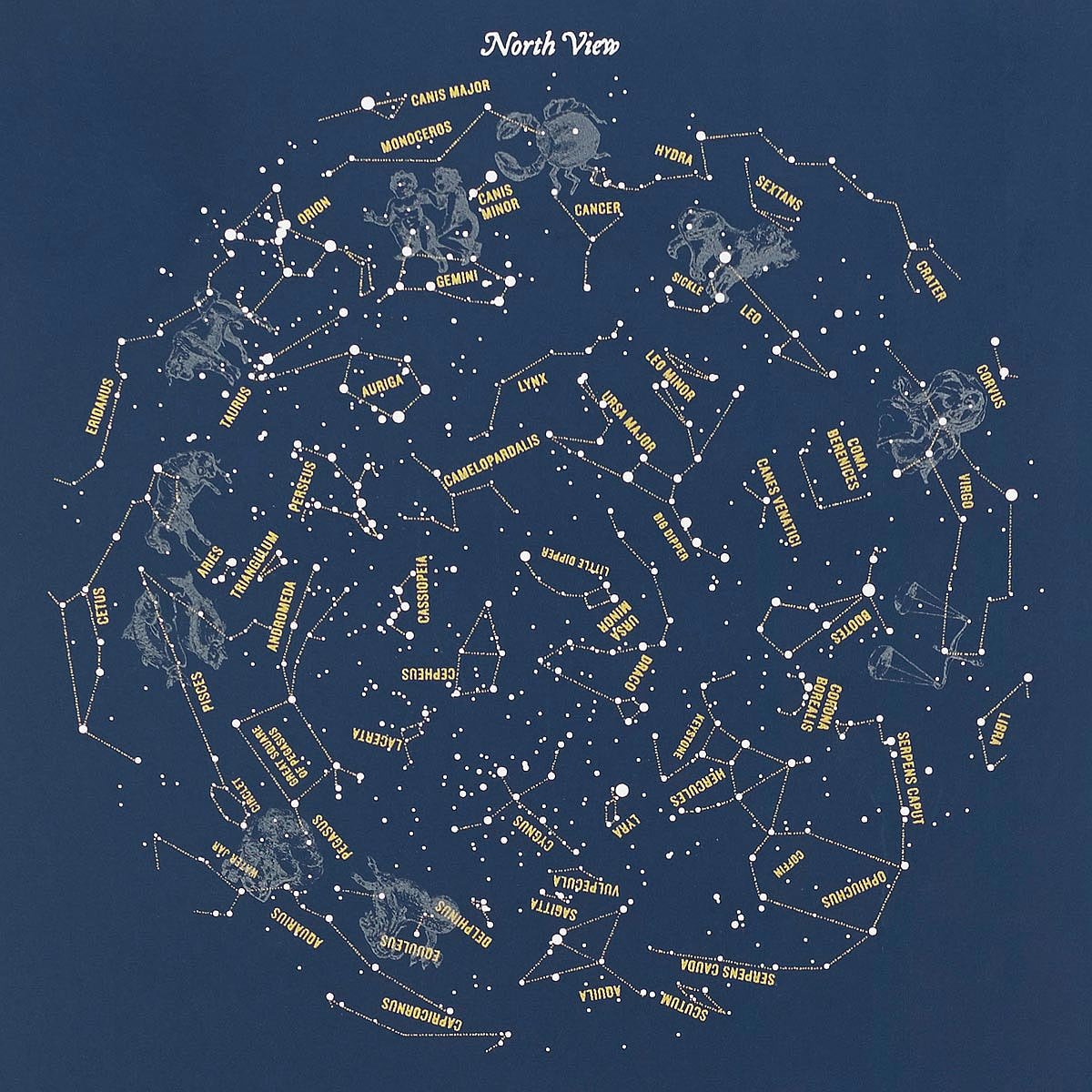 Map of the Heavens space art, star chart