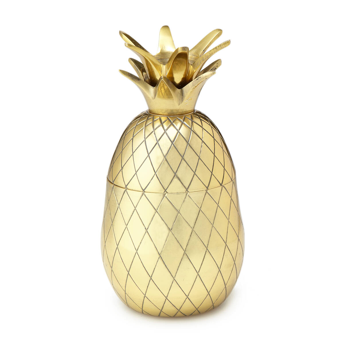 plastic pineapple tumbler
