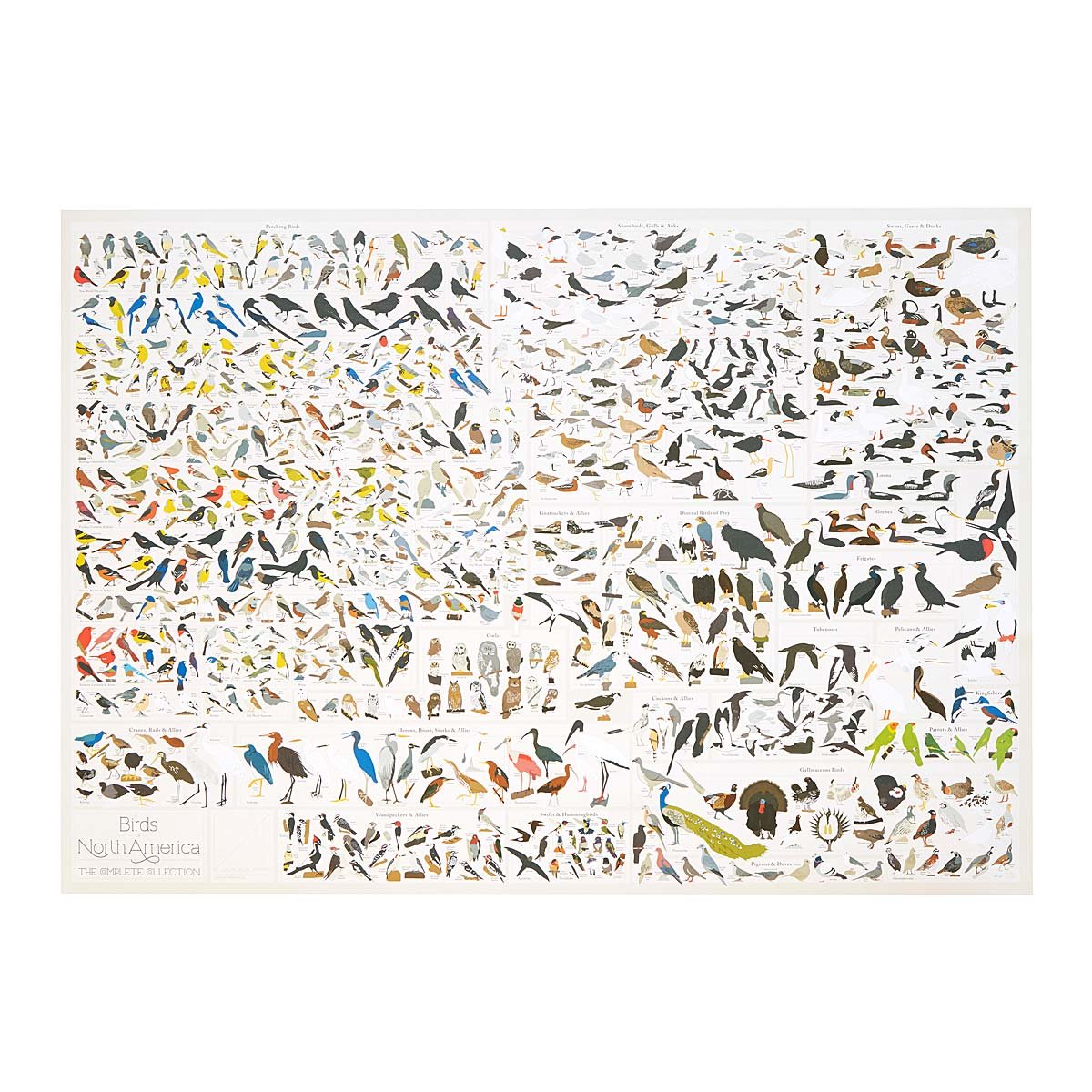 Birds Of North America Bird Art Bird Prints UncommonGoods