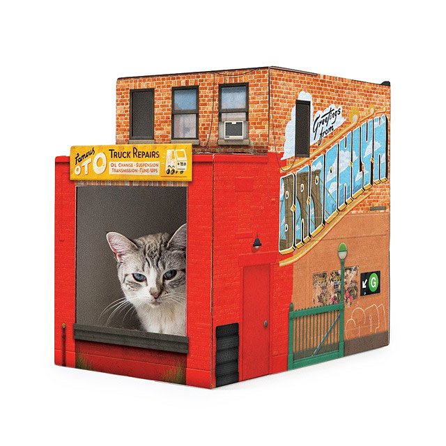 Brooklyn Pet House Cat House, New York Architecture