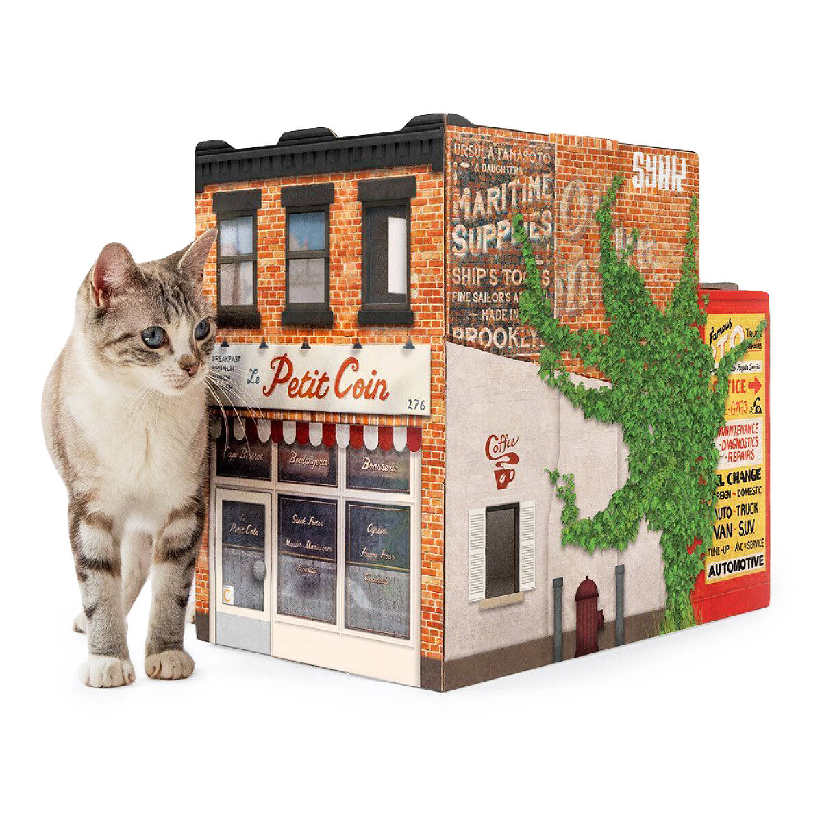 Brooklyn Pet House Cat House, New York Architecture