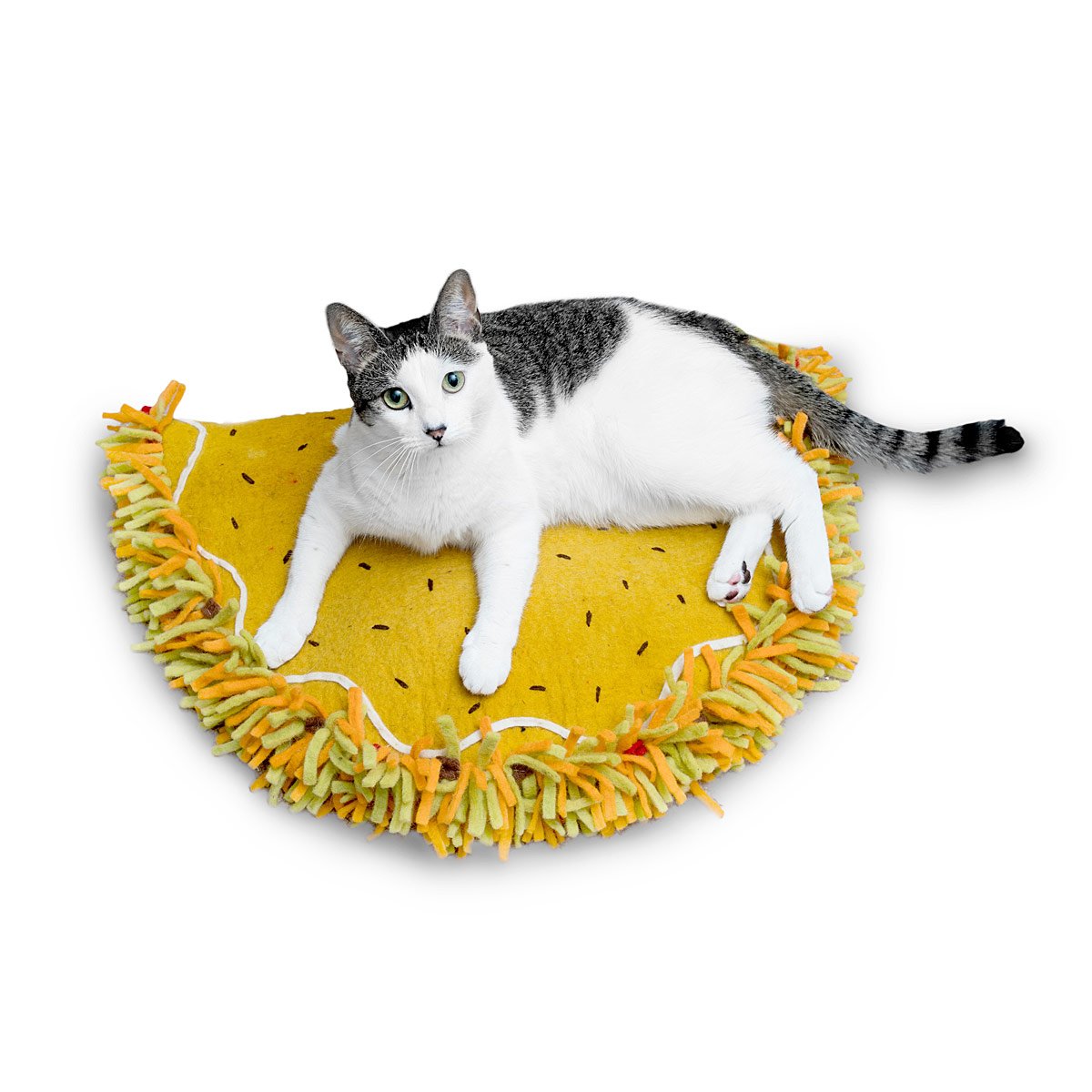 Cat on a taco bed