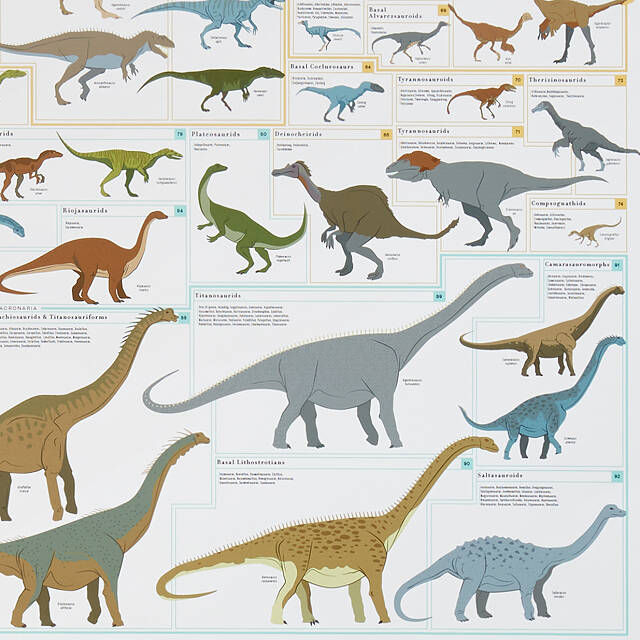 Dinosaur Chart