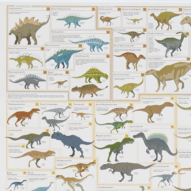 Dinosaur Chart Kinds Of Dinosaurs Prehistoric Animals