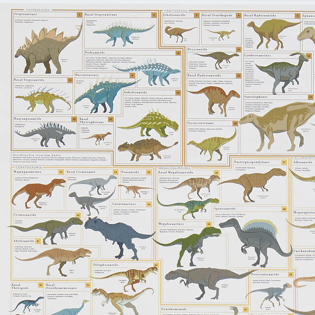 Dinosaur Chart With Names