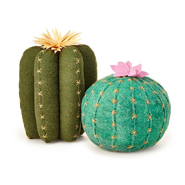 Cactus Bloom Throw Pillows | Fun Home 