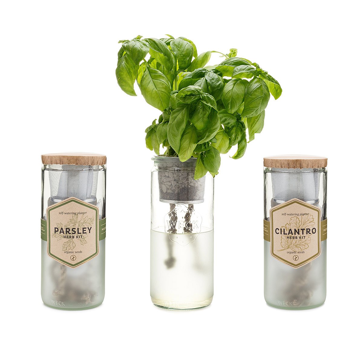 Kitchen Essentials Herb Planter Indoor Herb Planter, Grow Herbs