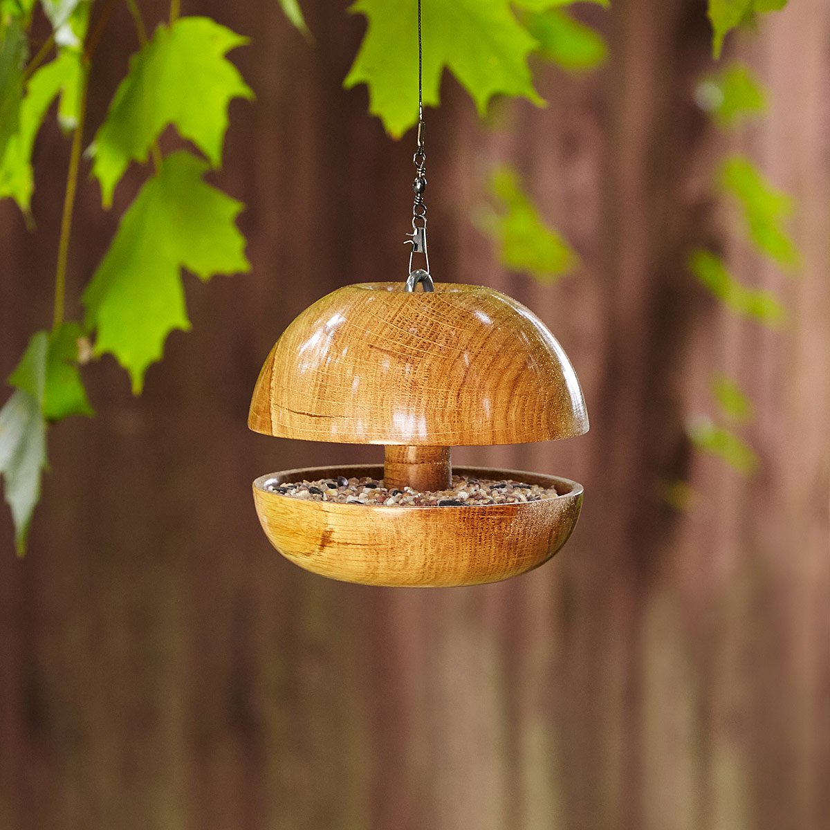 Butterfly Puddler Attract Butterflies, Garden