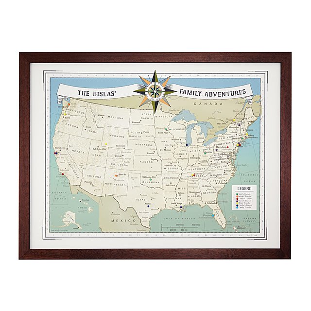 Birds and Blooms Art U.S. Map geography, state bird, state flower