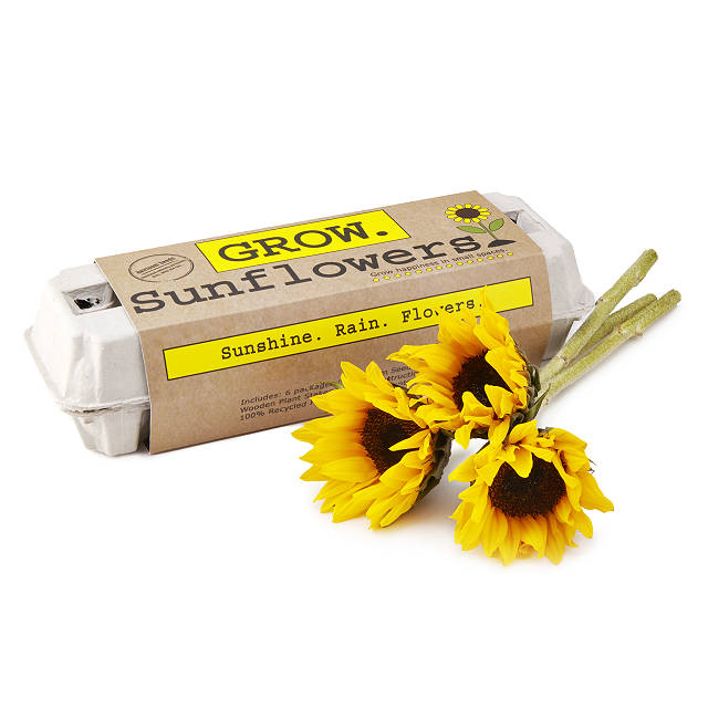 Sunflower Garden Grow Kit Quality Sunflower Variety Mix