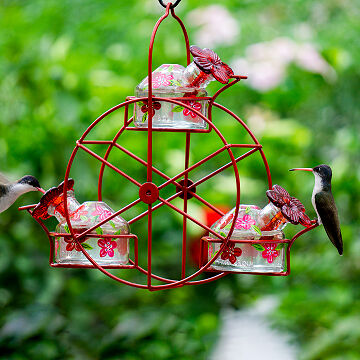 gift ideas for bird watchers