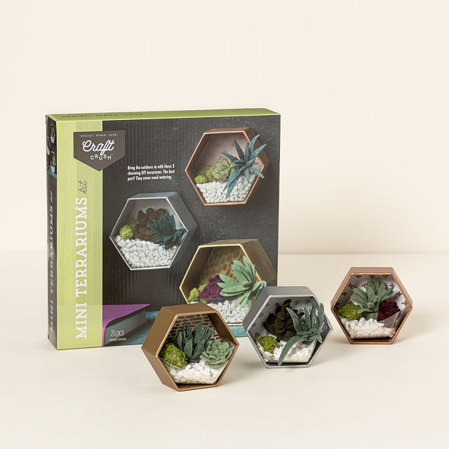 uncommongoods.com | Mini Terrariums DIY Kit
