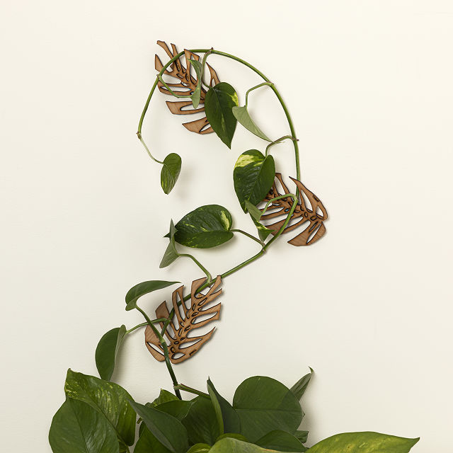 Monstrellis Wall Mounted Trellis