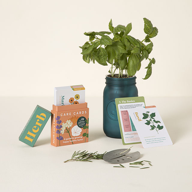Herb Grower's Gift Set
