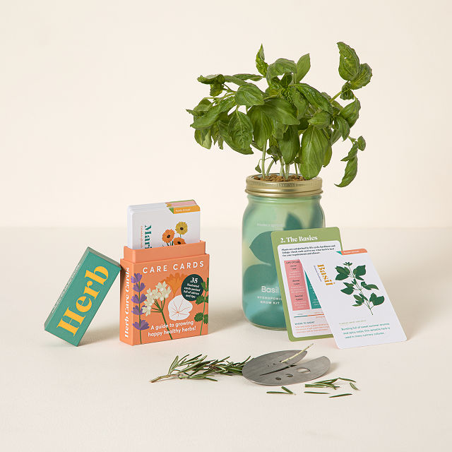Herb Grower's Gift Set