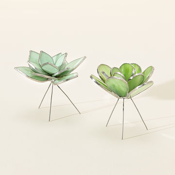 the seaside succulent Uttermost 60233 Seaside Breeze Succulents