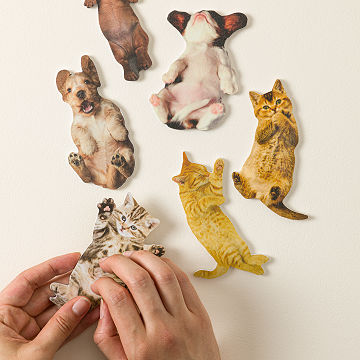 Cat Bingo Game Set - 24 Cards, Paw Print Theme, Perfect For Cat Birthday Parties Or Lover Gatherings